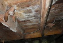 Protecting Home Foundations with Moisture Control Solutions in Schaumburg